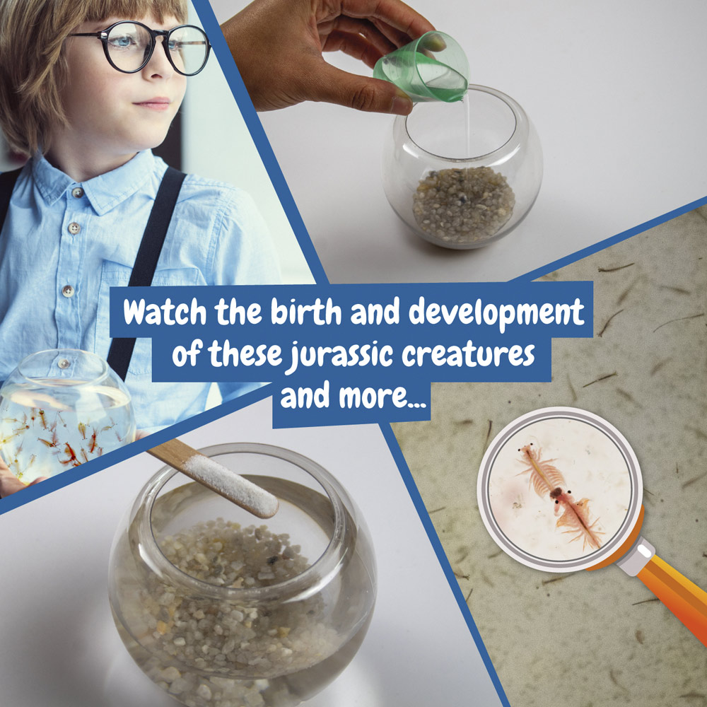 Gra reklamowa jurassic pets kit iii. gra edukacyjna dostarczana z papierową torebką prezentową (90 g/m²) 35830_106-c Jurassic Pets Kit III. Gra edukacyjna dostarczana z papierową torebką prezentową (90 g/m²) 35830_106-c