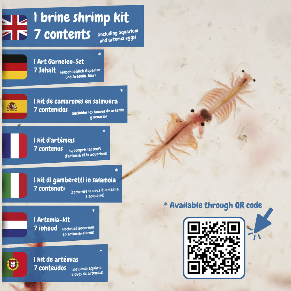 Gra reklamowa jurassic pets kit iii. gra edukacyjna dostarczana z papierową torebką prezentową (90 g/m²) 35830_106-f Jurassic Pets Kit III. Gra edukacyjna dostarczana z papierową torebką prezentową (90 g/m²) 35830_106-f